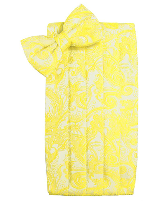 Lemon Tapestry Cummerbund - Tuxedo Club