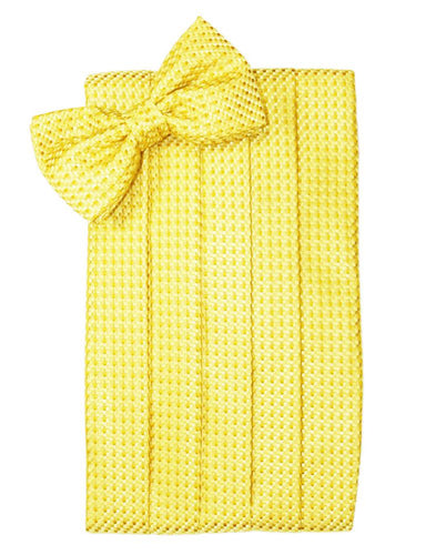 Lemon Venetian Cummerbund - Tuxedo Club