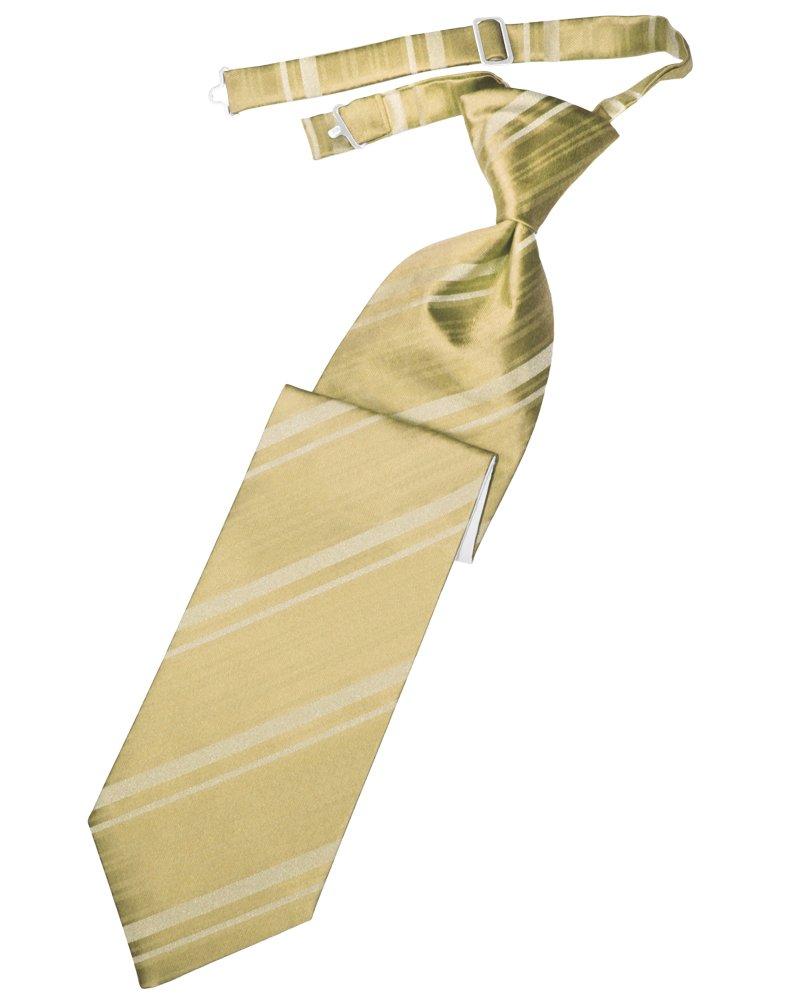 Harvest Maize Striped Satin Long Tie - Tuxedo Club