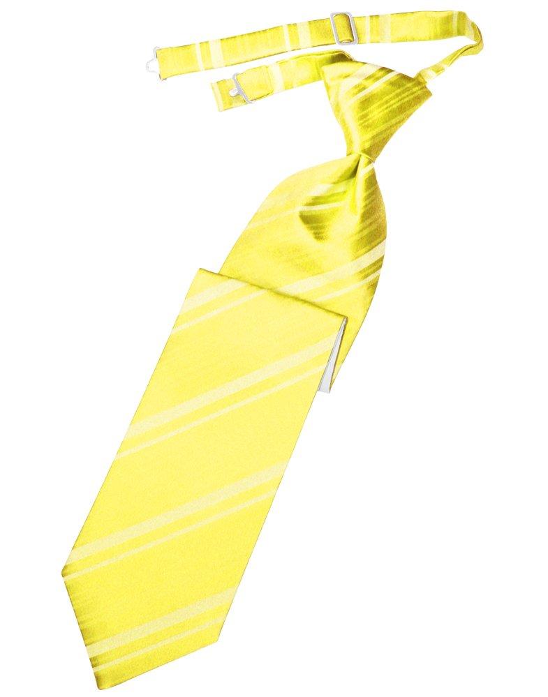 Lemon Striped Satin Long Tie - Tuxedo Club