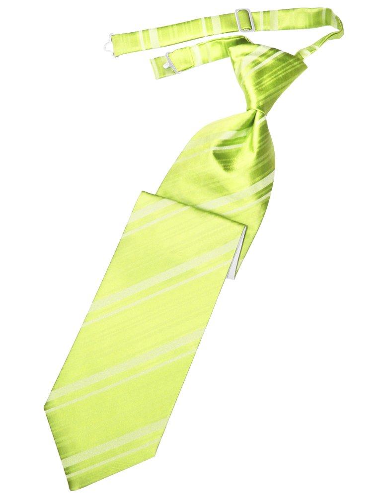 Lime Striped Satin Long Tie - Tuxedo Club