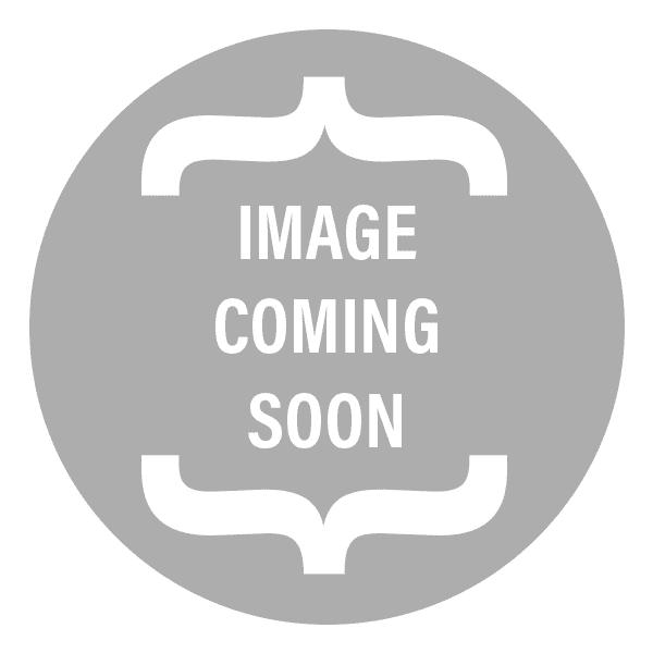 Light Champagne Venetian Stripe Long Tie - Tuxedo Club