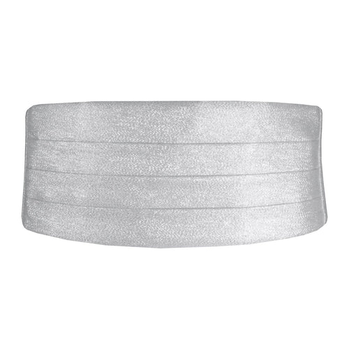 Silver Metallic Cummerbund - Tuxedo Club